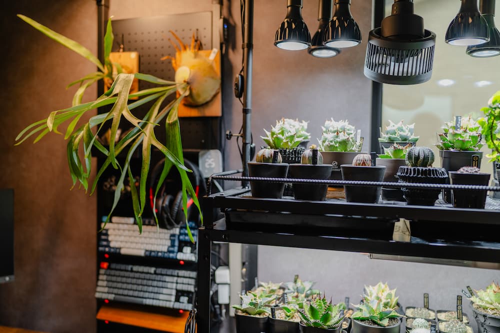 河川敷に抜ける家。5